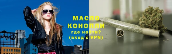 дмт Лабытнанги