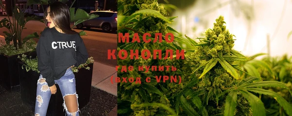 дмт Лабытнанги