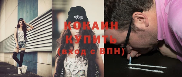 дмт Лабытнанги